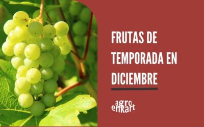 ¿Qué frutas de temporada de diciembre son típicas?