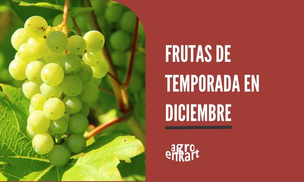 frutas de temporada en diciembre