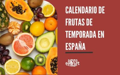 Frutas de temporada en España, calendario estacional