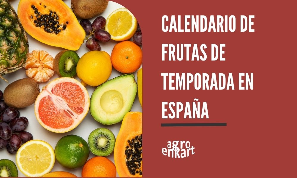 Frutas de temporada en España, calendario estacional