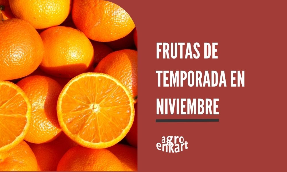 imagen destacada sobre las frutas de temporada de noviembre