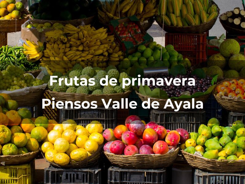 Frutas y verduras de primavera